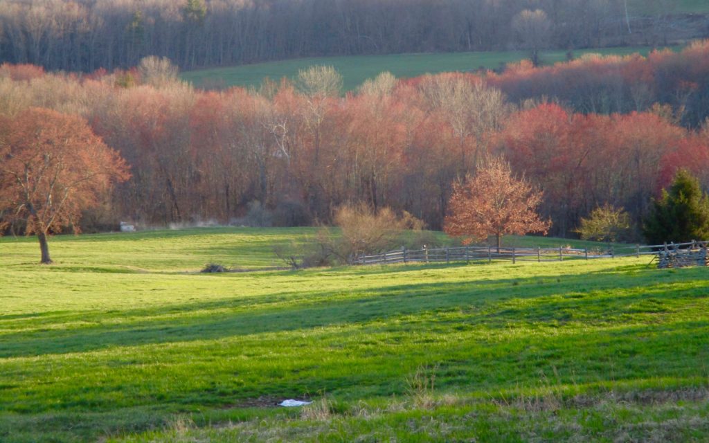 Pomfret Proprietors Association